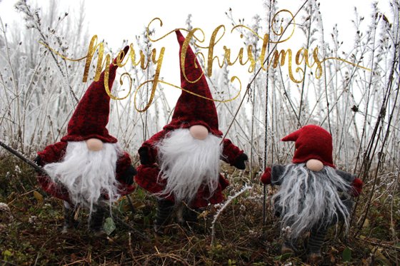 Merry Christmas
